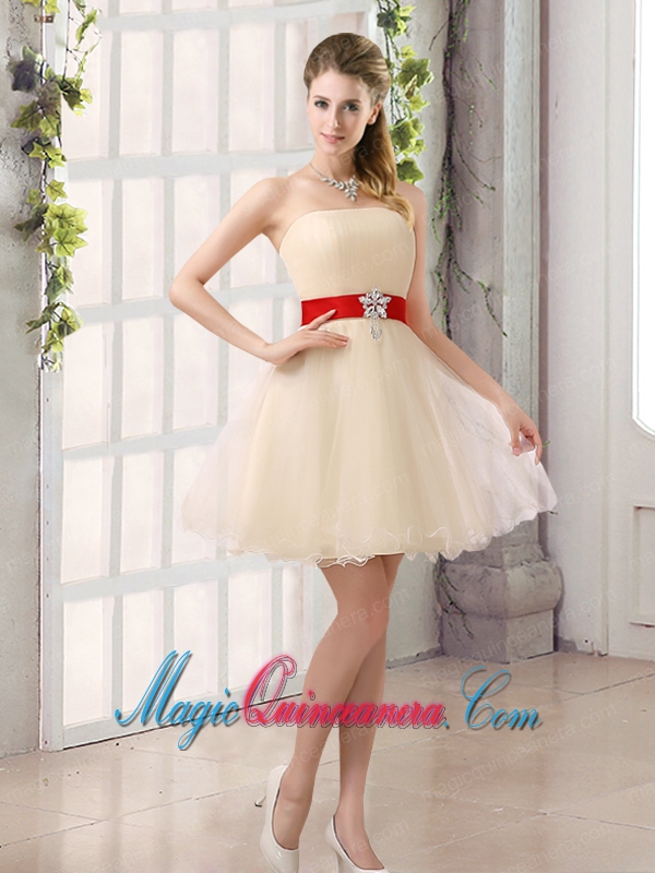 2015 Perfect A Line Tulle Dama Dress with Mini Length