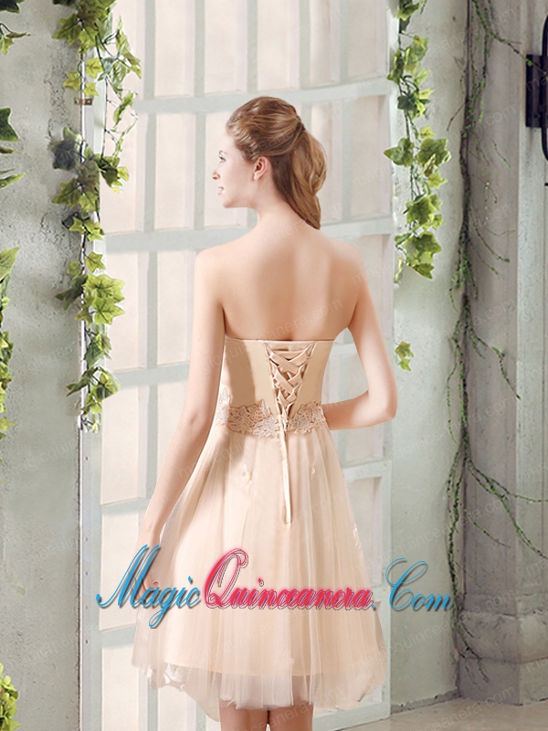 Champagne A Line Strapless Appliques Dama Dress