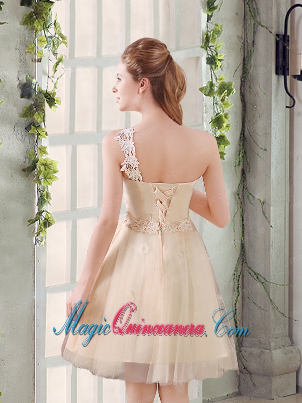 Popular A Line Appliques Dama Dress with One Shoulder