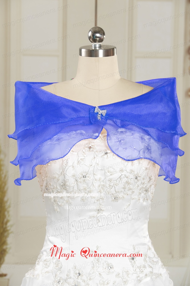 Fall Organza Beading Shawls in Baby Blue
