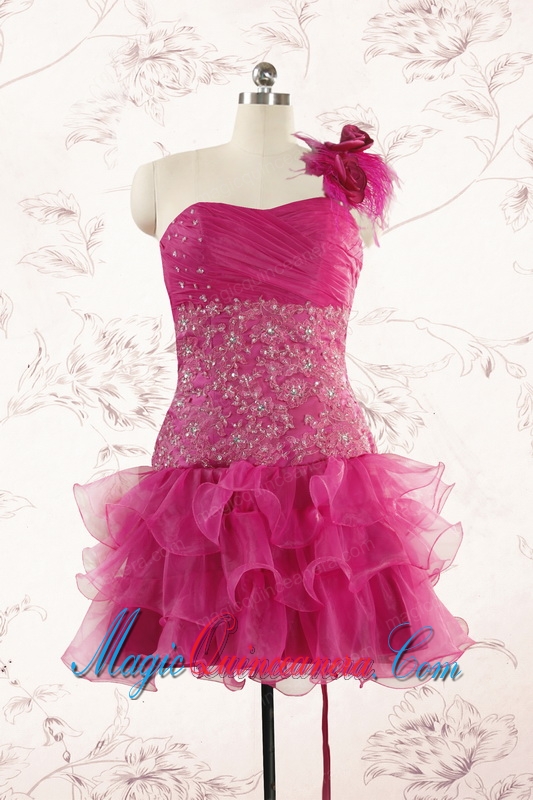 2015 Cheap Appliques Quinceanera Dresses in Fuchsia