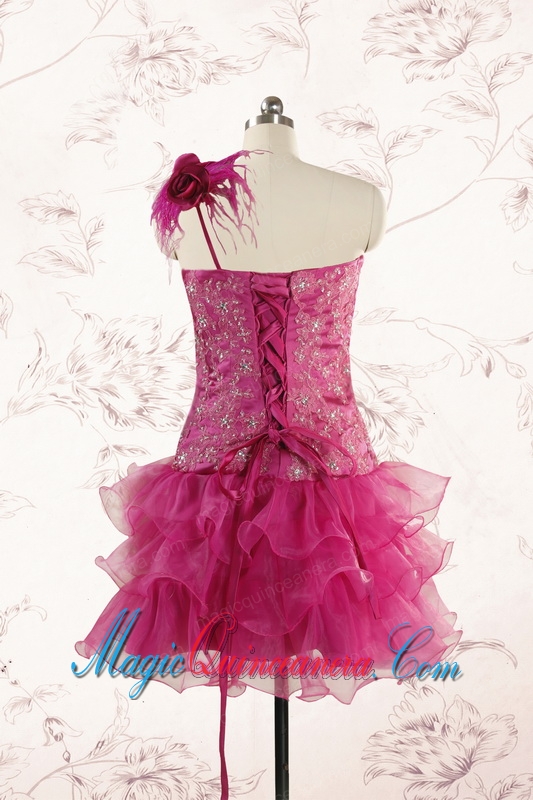 2015 Cheap Appliques Quinceanera Dresses in Fuchsia