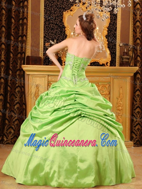 Appliqued Spring Green Taffeta Dresses for Quinceaneras for Cheap