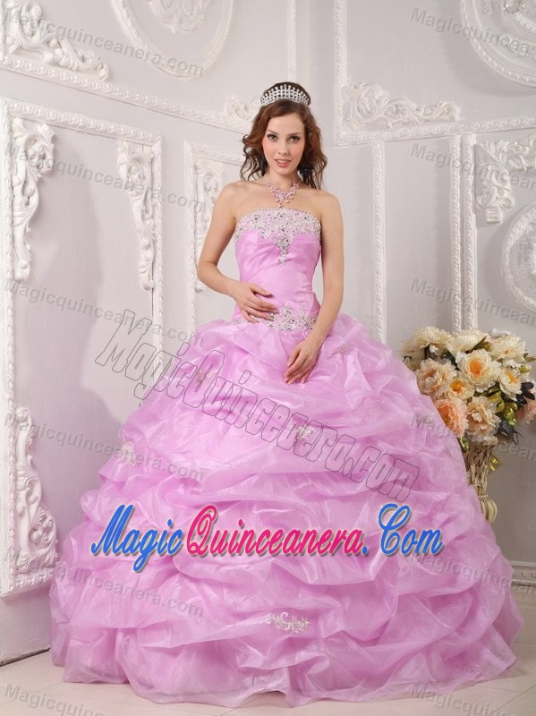 Rose Pink Organza Dresses for Quinceaneras with Appliques Pick ups
