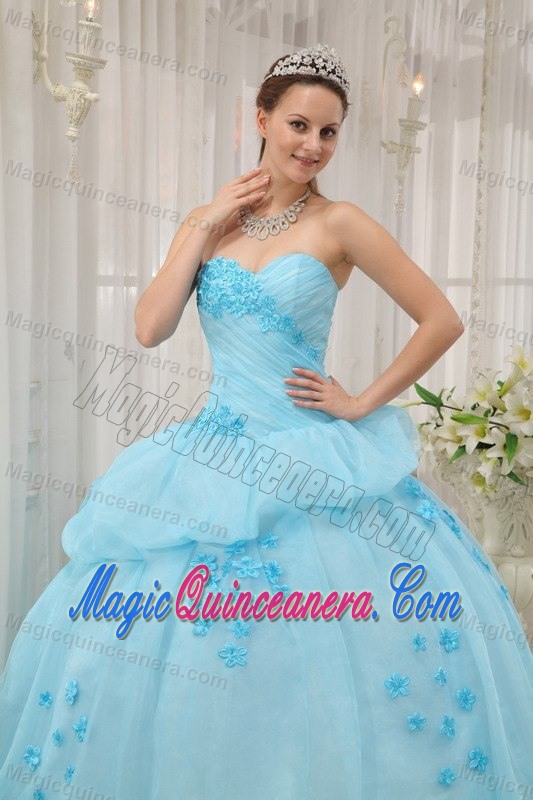 Light Blue Organza Dresses for A Quince with Appliques Pick ups