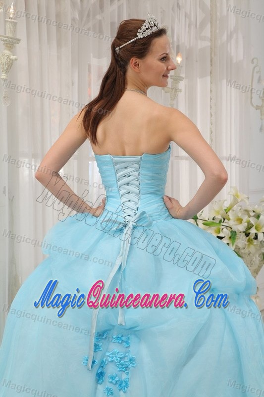Light Blue Organza Dresses for A Quince with Appliques Pick ups