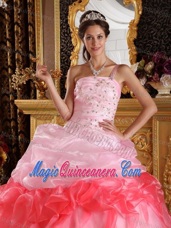 Pick and Watermelon One Shoulder Dresses for A Quince Appliques