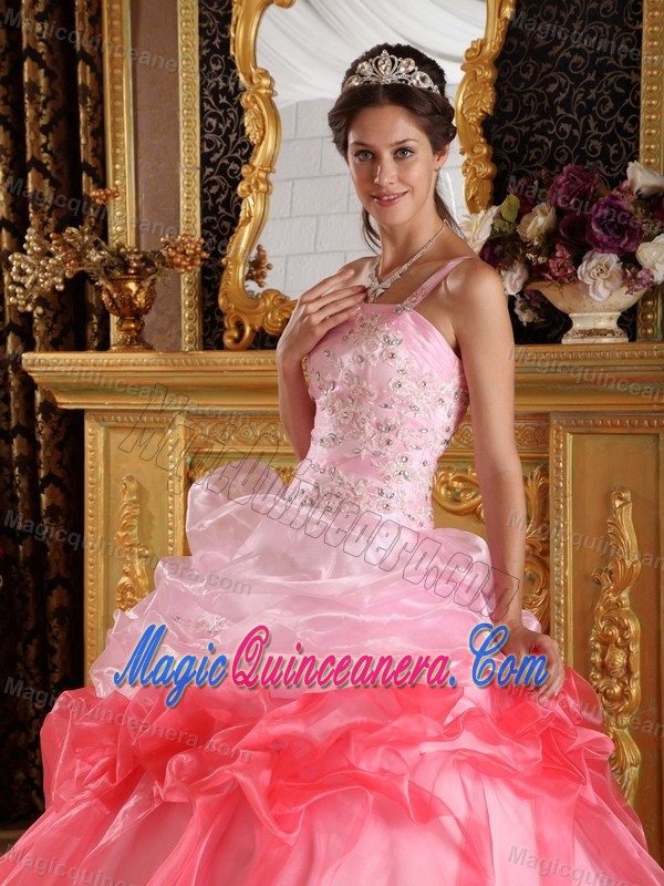 Pick and Watermelon One Shoulder Dresses for A Quince Appliques