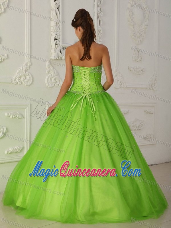 Spring Green Halter Sweet Sixteen Quinceanera Dresses Appliques
