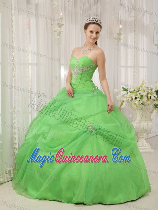 Appliqued Organza Spring Green Sweet Sixteen Quinceanera Dresses