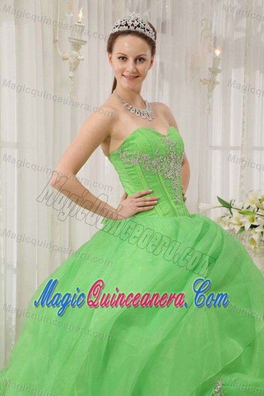 Appliqued Organza Spring Green Sweet Sixteen Quinceanera Dresses