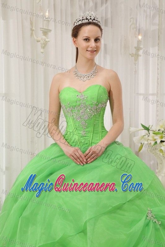 Appliqued Organza Spring Green Sweet Sixteen Quinceanera Dresses