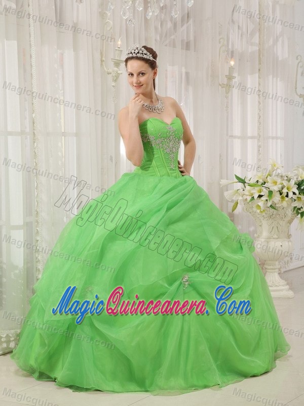 Appliqued Organza Spring Green Sweet Sixteen Quinceanera Dresses