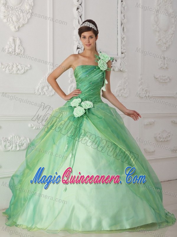 Flowery One Shoulder Ruched Sweet Sixteen Dresses in Apple Green