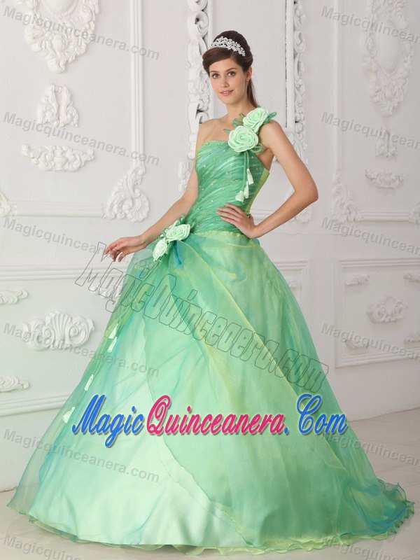 Flowery One Shoulder Ruched Sweet Sixteen Dresses in Apple Green