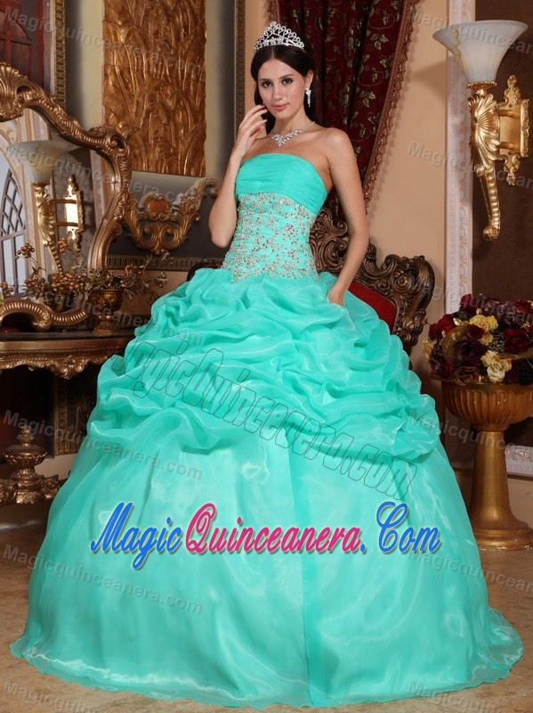 Appliques Pick ups Organza Quinceanera Gown Dresses in Turquoise