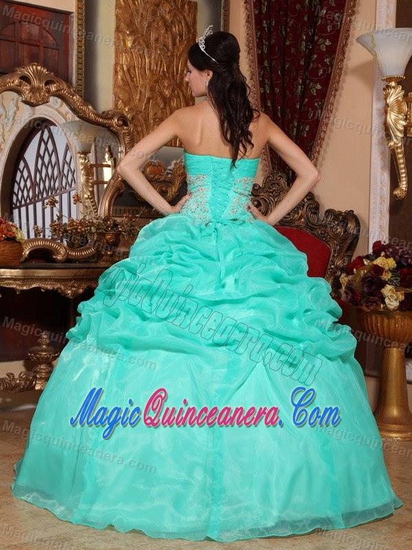 Appliques Pick ups Organza Quinceanera Gown Dresses in Turquoise