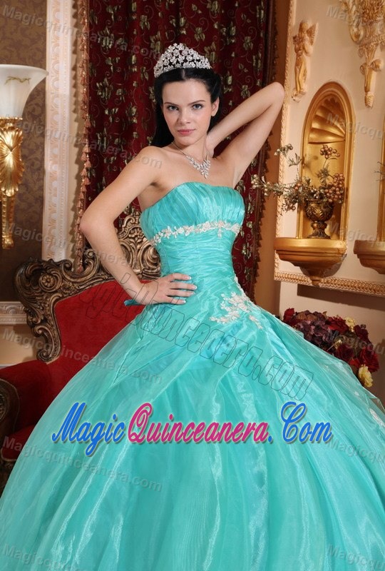 Appliques Accent Organza Quinceanera Gown Dresses in Apple Green