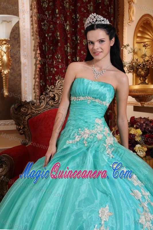 Appliques Accent Organza Quinceanera Gown Dresses in Apple Green