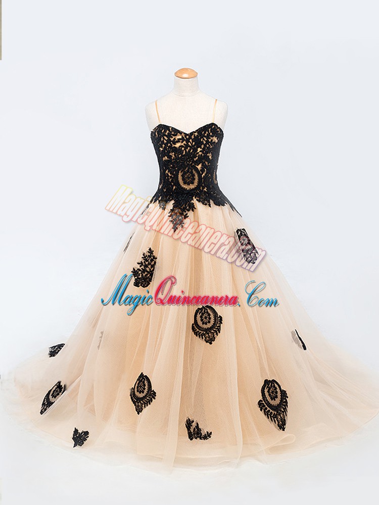 Simple Peach Pageant Dress Tulle Brush Train Sleeveless Appliques