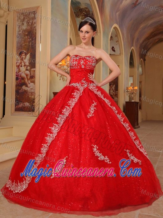 Design Your Own Red Sweet Sixteen Dresses with Embroidery