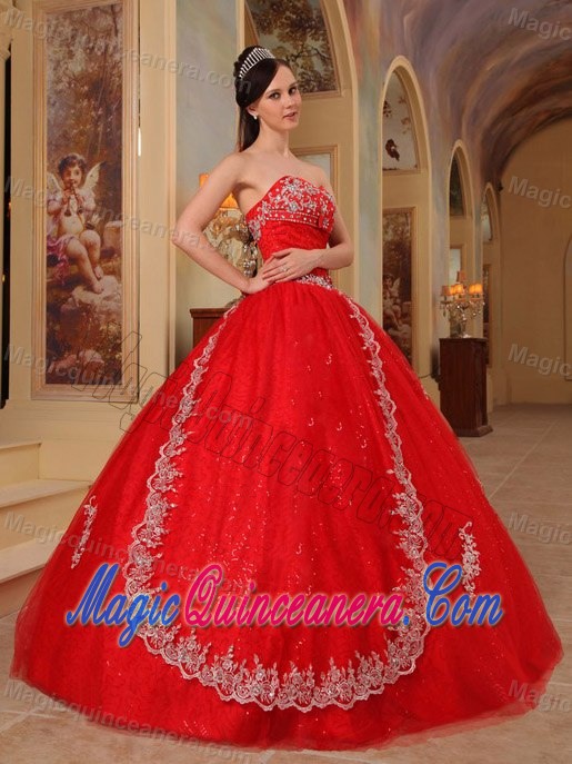 Design Your Own Red Sweet Sixteen Dresses with Embroidery