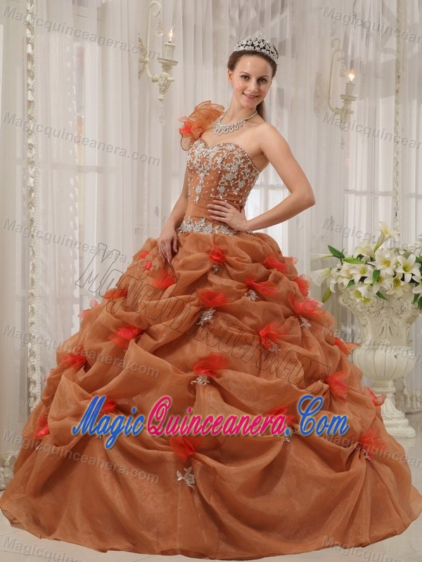 one Shoulder Rust Red Appliqued Quinceanera Dresses for Sale