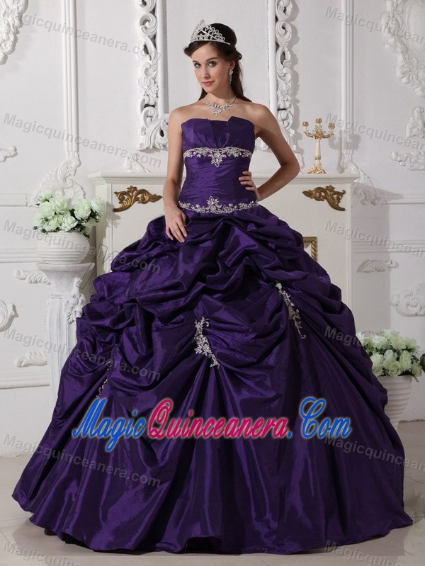 Plus Size Eggplant Purple Pick Ups Appliqued Sweet 15 Dresses