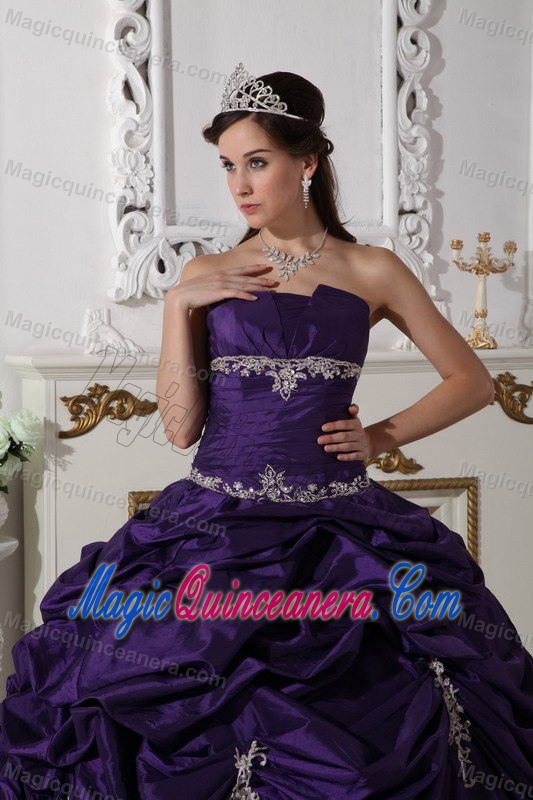 Plus Size Eggplant Purple Pick Ups Appliqued Sweet 15 Dresses