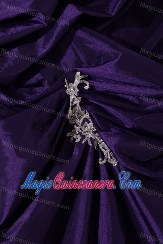 Plus Size Eggplant Purple Pick Ups Appliqued Sweet 15 Dresses