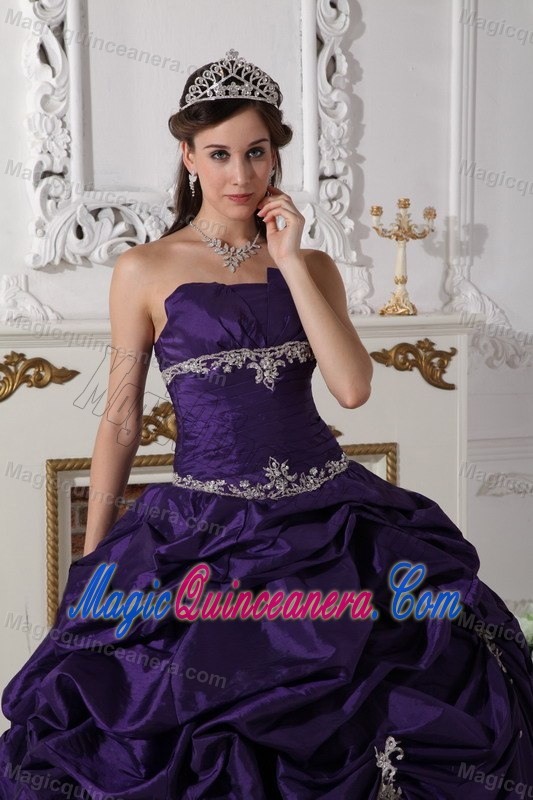 Plus Size Eggplant Purple Pick Ups Appliqued Sweet 15 Dresses