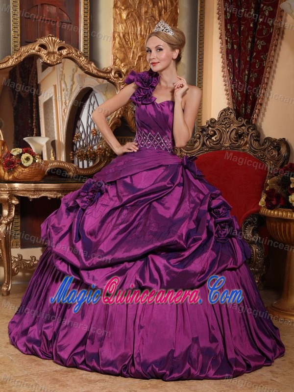 Pick Ups one Shoulder Flowers Purple Quince Dresses in Chajul