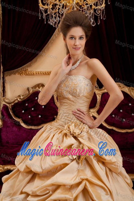 Sweet Champagne Appliqued Quinceanera Gown with Pick Ups