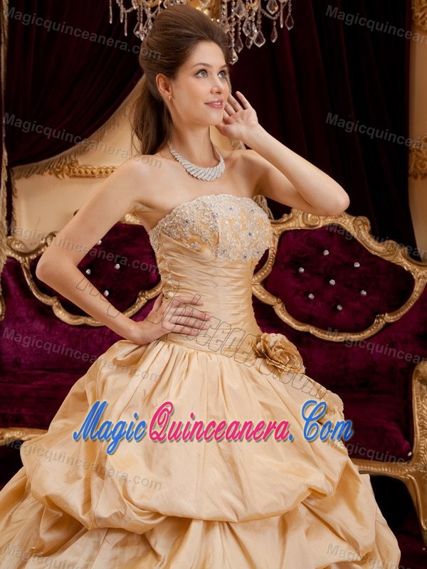 Sweet Champagne Appliqued Quinceanera Gown with Pick Ups