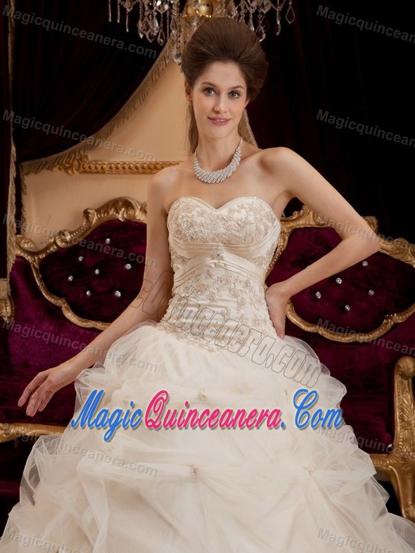 Organza Embroidery Ivory Quinceanera Party Dress for Autumn