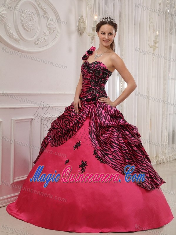 Pink One Shoulder Taffeta and Zebra Quinceanera Gown in Farnborough