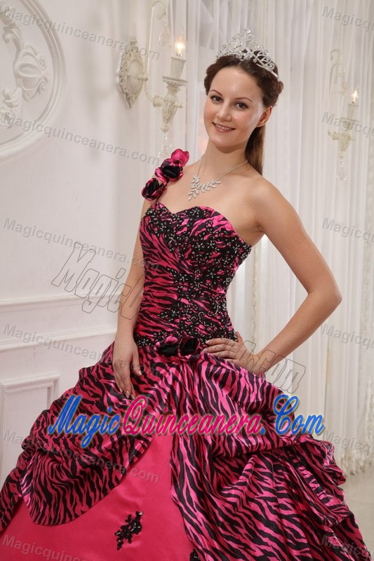 Pink One Shoulder Taffeta and Zebra Quinceanera Gown in Farnborough