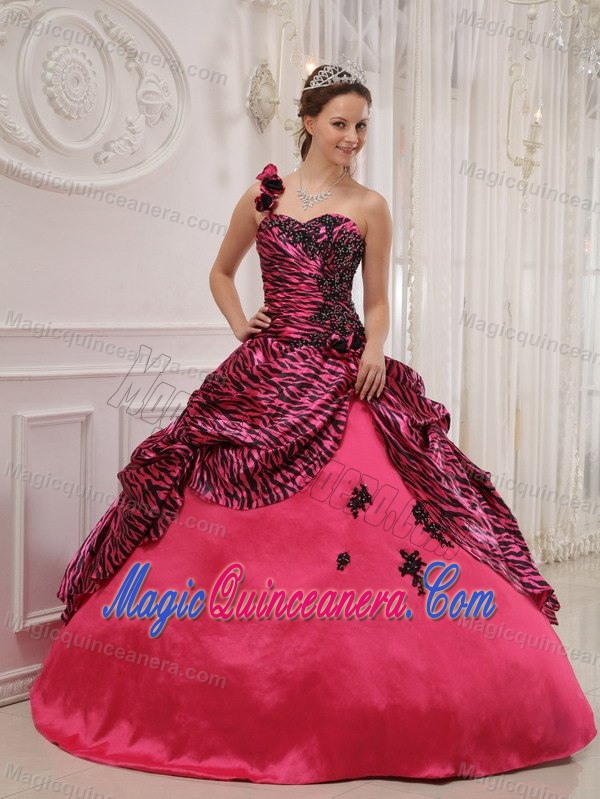 Pink One Shoulder Taffeta and Zebra Quinceanera Gown in Farnborough