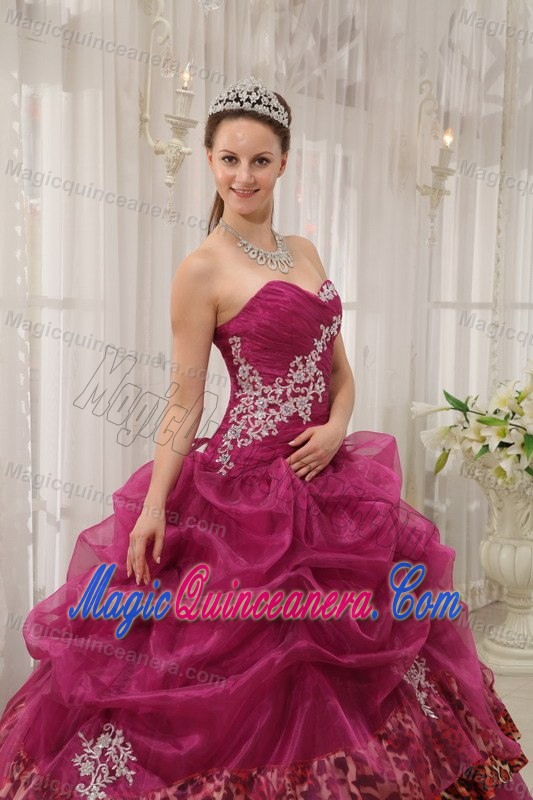 Burgundy Organza and Leopard Appliques Sweet 15 Dresses in Clifton