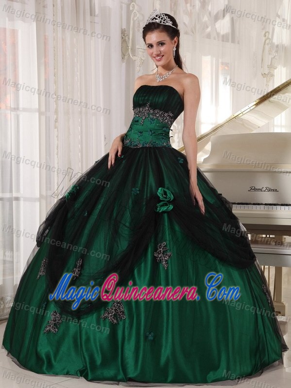 Wonderful Green Tulle and Taffeta Quinceanera Party Dresses Appliques
