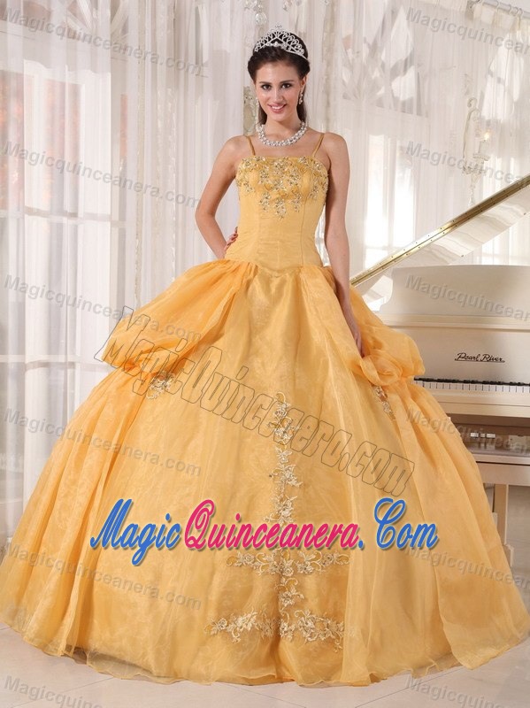 Discount Organza Spaghetti Straps Dresses for a Quinceanera Appliques