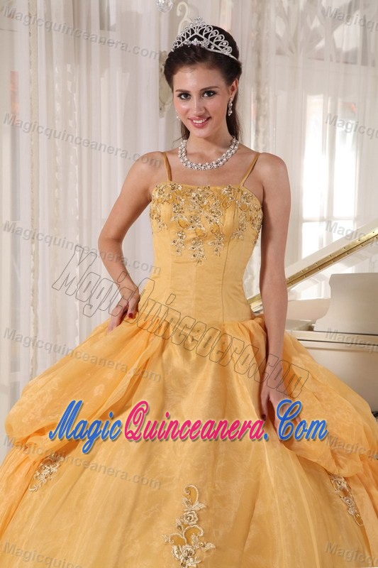 Discount Organza Spaghetti Straps Dresses for a Quinceanera Appliques