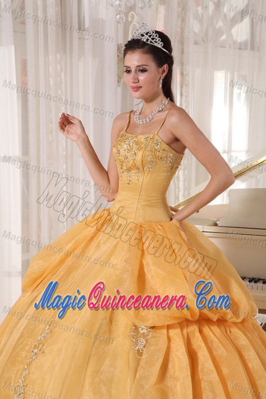Discount Organza Spaghetti Straps Dresses for a Quinceanera Appliques