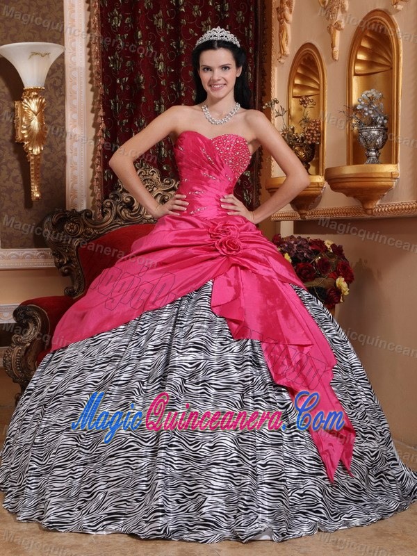 Perfect Ruched and Beading Quinceanera Dresses for Zebra Scottsdale