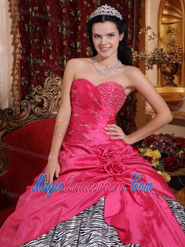 Perfect Ruched and Beading Quinceanera Dresses for Zebra Scottsdale