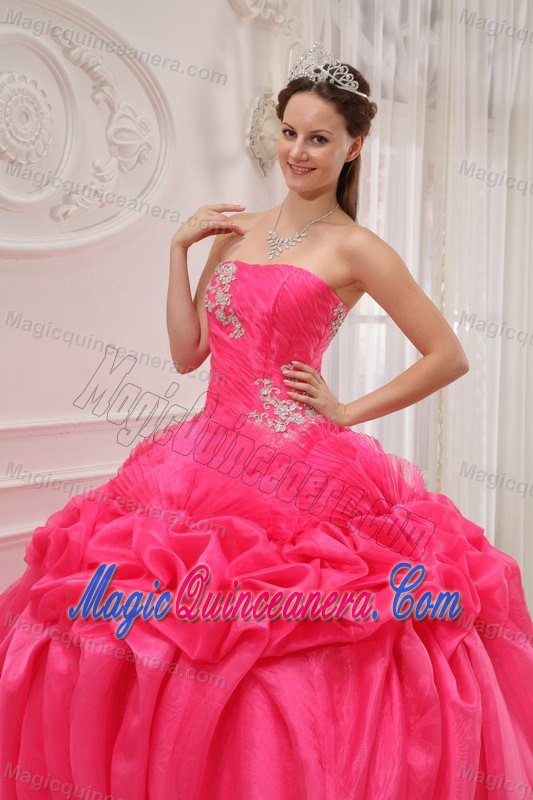 New Hot Pink Strapless Dress for Quince Organza Taffeta and Organza