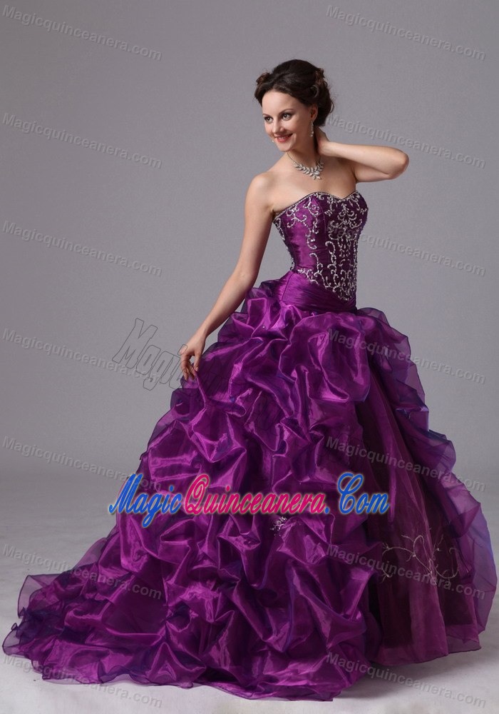 Pick ups and Embroidery Accent Purple Brush Quinceanera Gowns