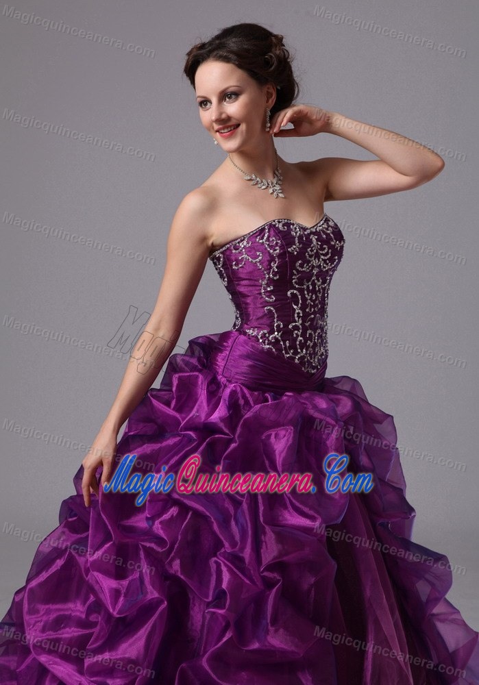 Pick ups and Embroidery Accent Purple Brush Quinceanera Gowns