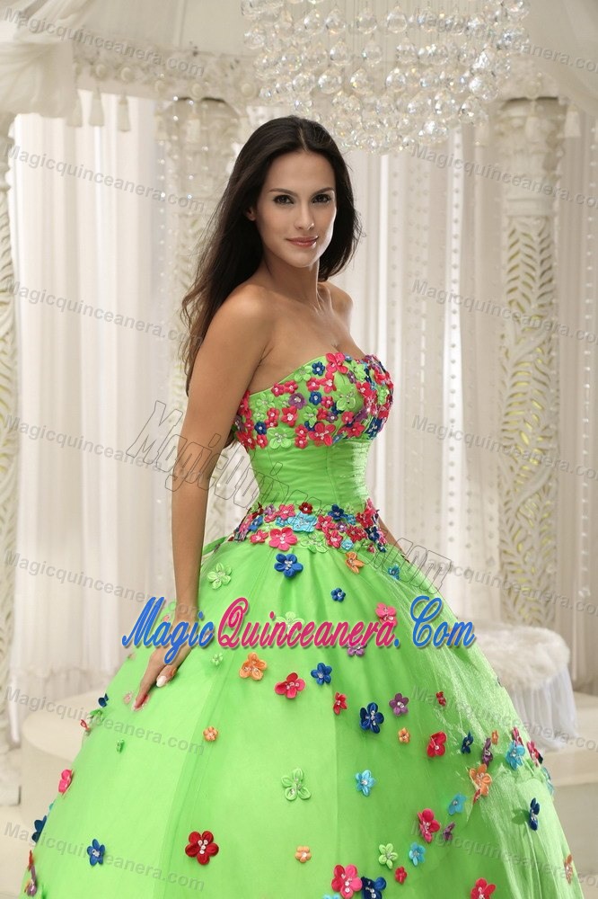 Spring Green Sweet 16 Dress with Multi-color Hand Made Flowers and Beading