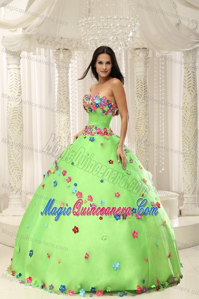 Spring Green Sweet 16 Dress with Multi-color Hand Made Flowers and Beading